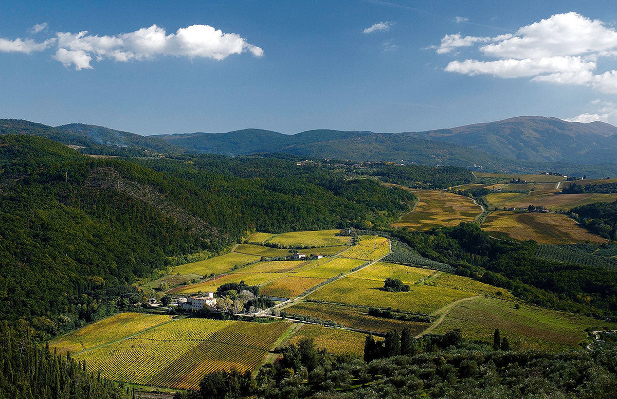 Tenuta Selvapiana