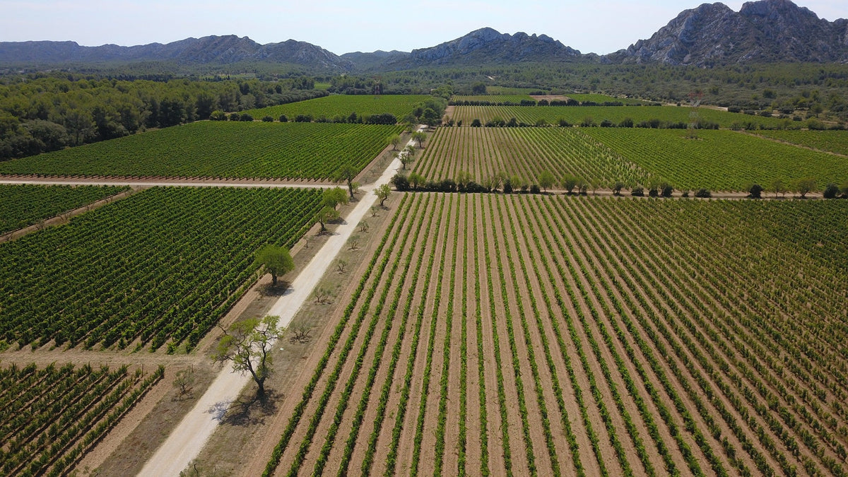 Domaine Terres Blanches