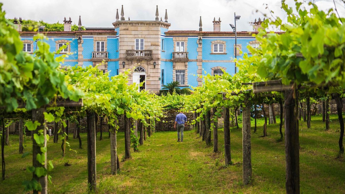 Bodegas Granbazán