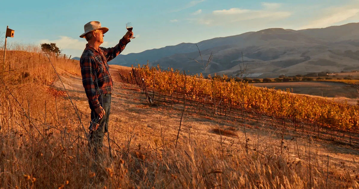 Ampelos Cellars