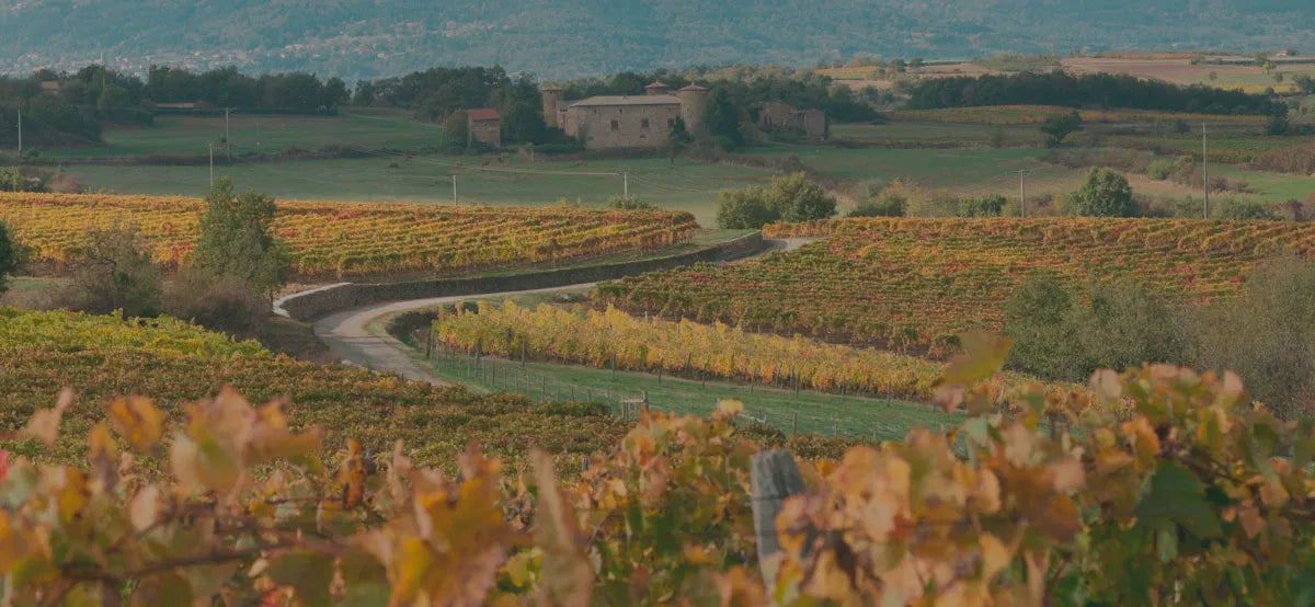 Domaine Louis Cheze
