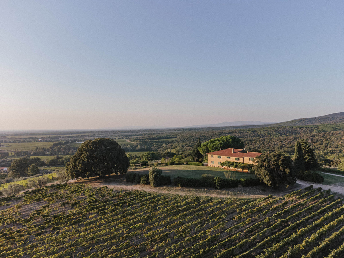 Podere Grattamacco