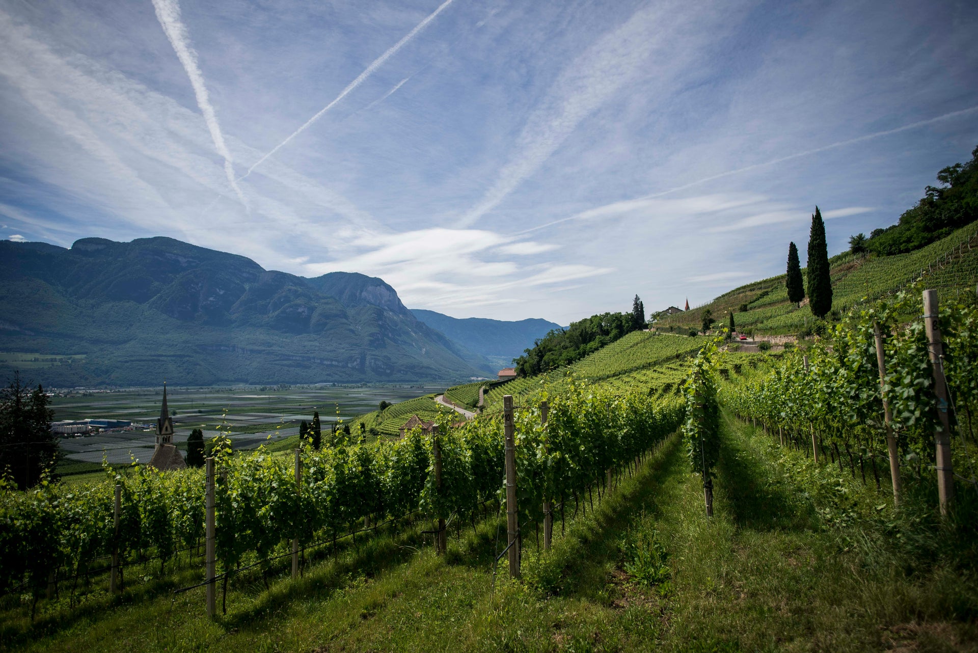 Rhône
