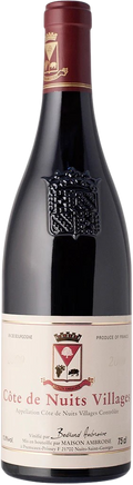 2023 Cote-de-Nuits Villages Rotwein
