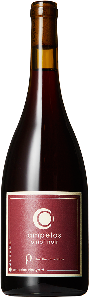 Pinot Noir Rho