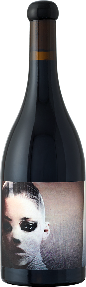 Sleepy Hollow Pinot Noir Weinberg