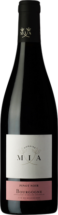 2022 Burgund Spätburgunder