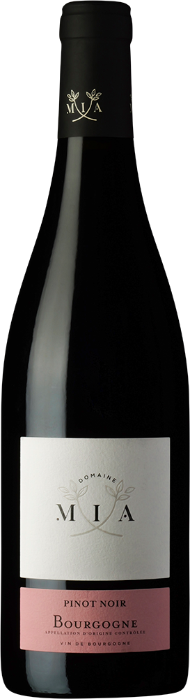 Burgund Spätburgunder