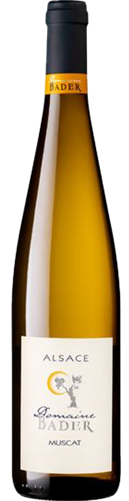 Elsass Muskat
