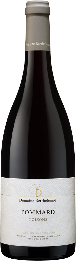 Domaine Berthelemot Pommard Noizons
