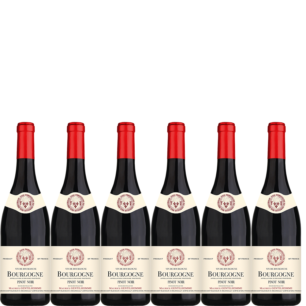 6 Flaschen 2022 Burgunder Pinot Noir