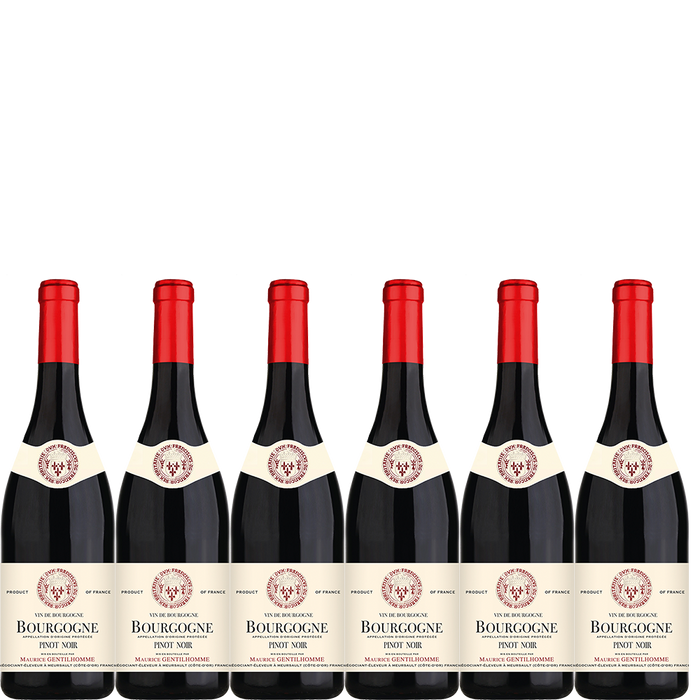6 Flaschen 2022 Burgunder Pinot Noir