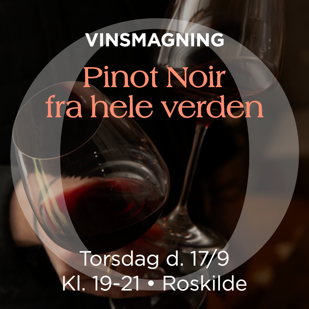 Pinot Noir-Verkostung
