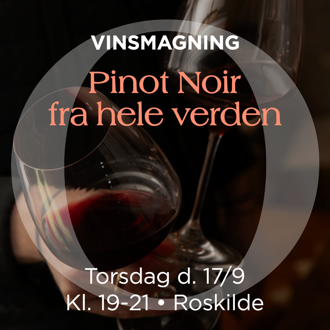 Pinot Noir-Verkostung