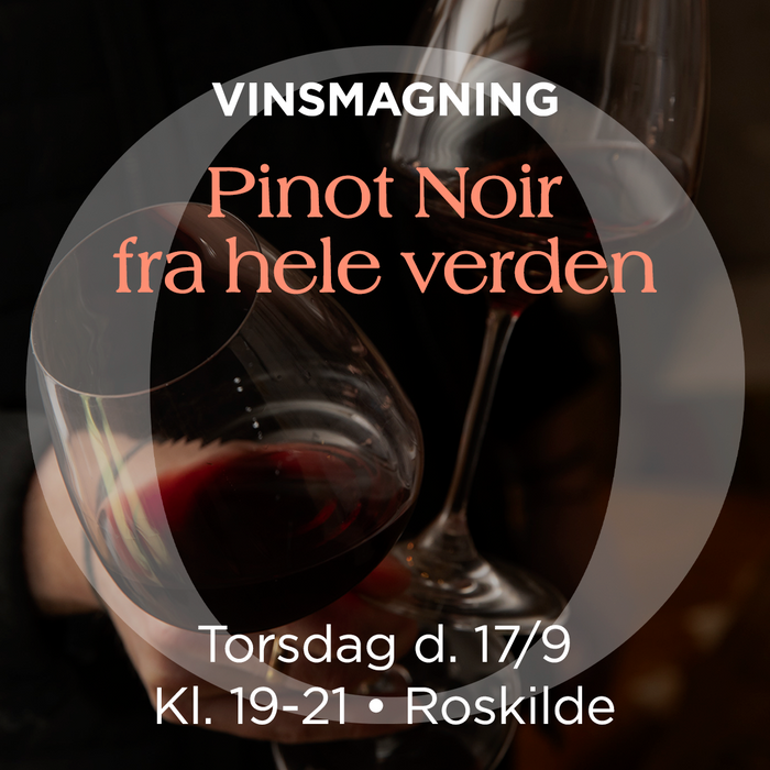 Pinot Noir-Verkostung
