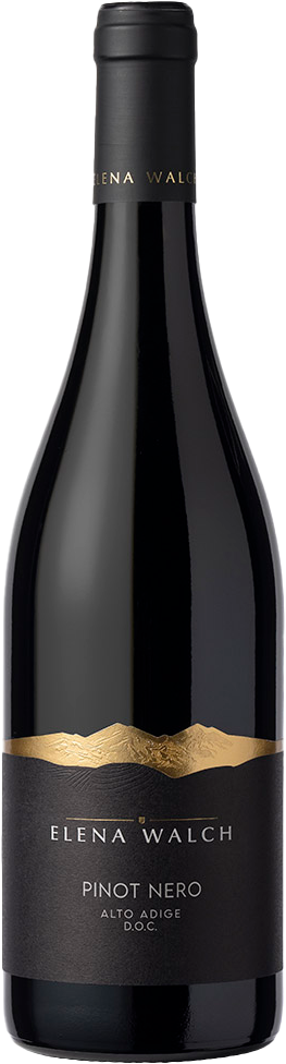 Pinot Nero Blauburgunder